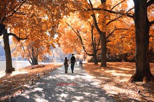 德国遭遇挑战，未能赢得比赛胜利