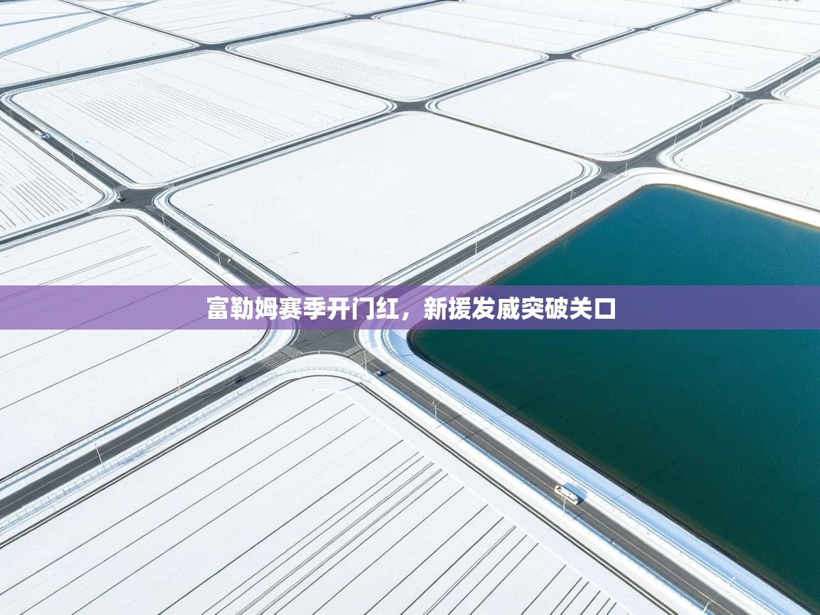 富勒姆赛季开门红，新援发威突破关口  第2张