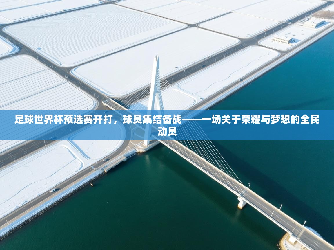 足球世界杯预选赛开打，球员集结备战——一场关于荣耀与梦想的全民动员