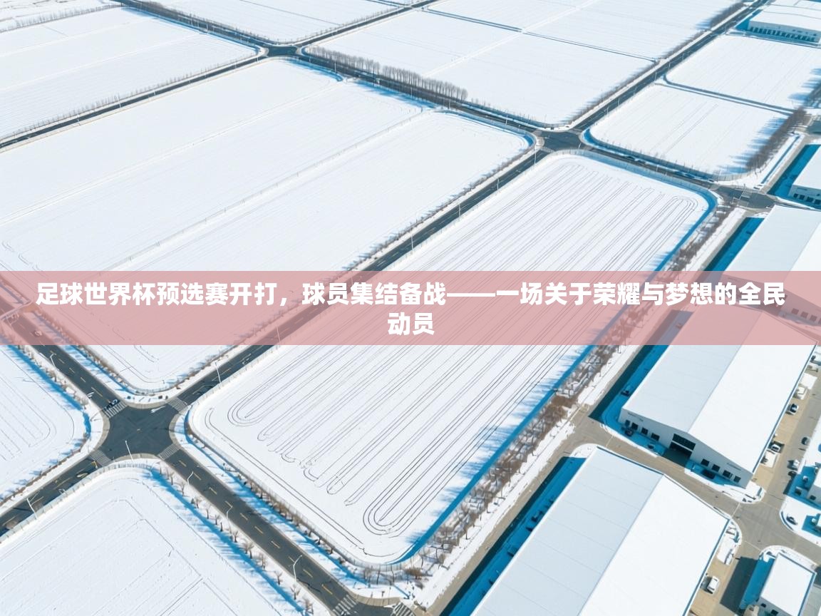 足球世界杯预选赛开打，球员集结备战——一场关于荣耀与梦想的全民动员  第2张