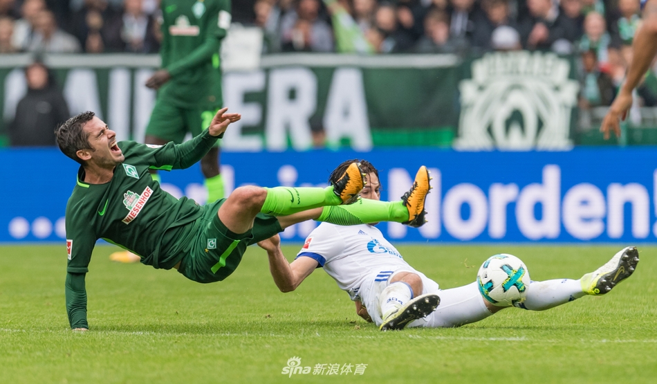 沙尔克主场憾负云达不莱梅，积分再度滑落的简单介绍